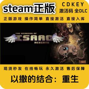 以撒的结合重生steam正版入库全DLC国区cdkey全球区激活码CDKEY
