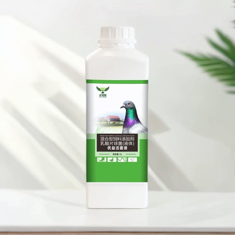 必冠能优益活菌液赛鸽用品信品鸽子包邮赛鸽调理保健
