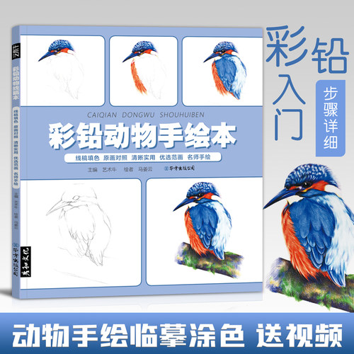 高清线稿图多详细画风治愈