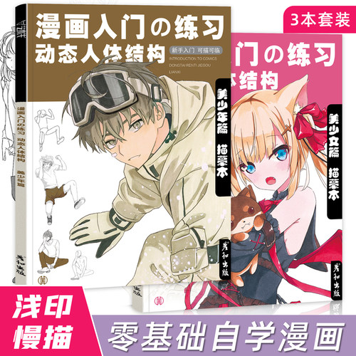 动漫人体结构动态入门练习