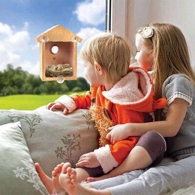 Bird House Exterior Window Nest Box Bird House With Strong
