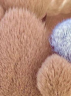 13 PCS Makeup Brushes Set Eye Shadow Foundation Women Cosmet