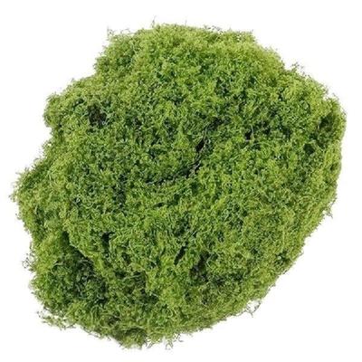 Fake Moss for Potted Plant , Artificial Moss Garden Plant
