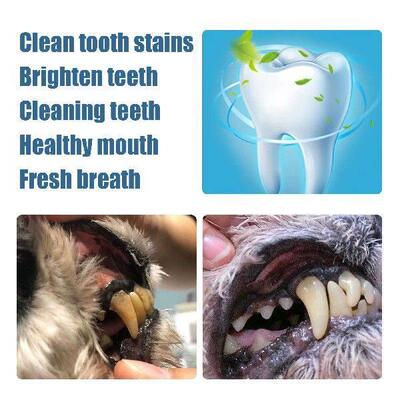 Pet Teeth Cleaning Pen Dog Teeth Cleaner Fresh Breath Cat &