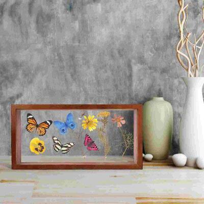 Picture Frame Specimen Photo Holder Dried Flowers Display
