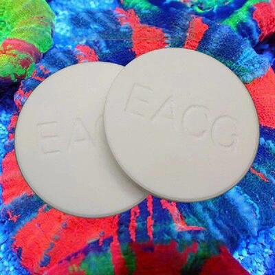 1/5PCS SPS Seawater Coral Frag Plate Base Ceramic Coralline