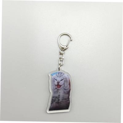 Rambling Goat Huh Cat Meme Keychain Confused Cat Memes Cat S