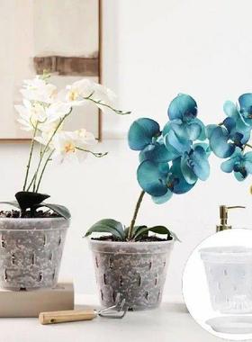 Flower Pots Flowerpots Transparent Orchid Pots with Side