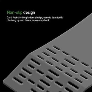 Transparent Fish Turtle Platform Tank Basking Large