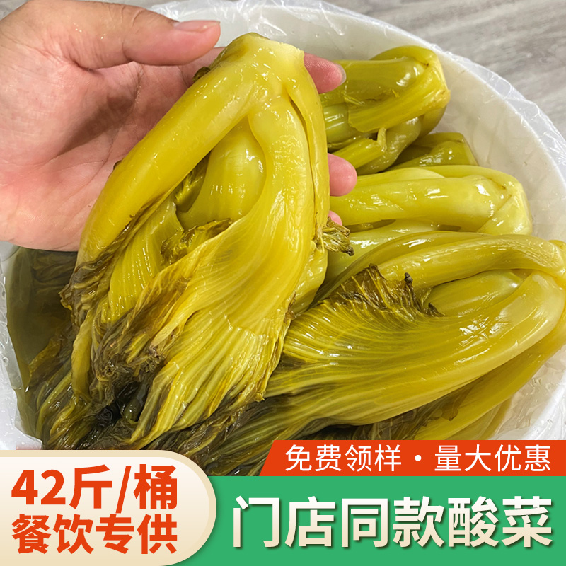 做酸菜鱼的小叶酸菜广东菜整颗腌制老坛酸菜鱼商用官方旗舰店