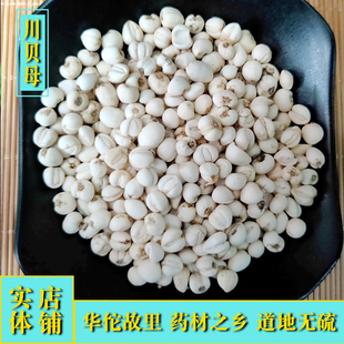 中药材川贝母5克无硫 好品质怀中抱月松贝母亳州大市场批中草堂