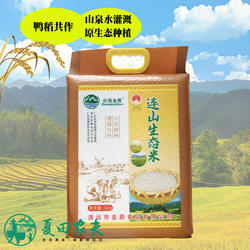 清远特产连山大米农家原生态壮瑶金爵5KG/10斤装长粒香米2025新米