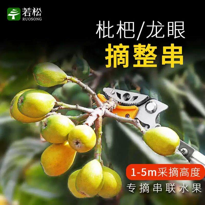 摘果器龙眼核桃水果树枝剪刀伸缩高空剪加长摘果神器高枝剪摘果剪图片