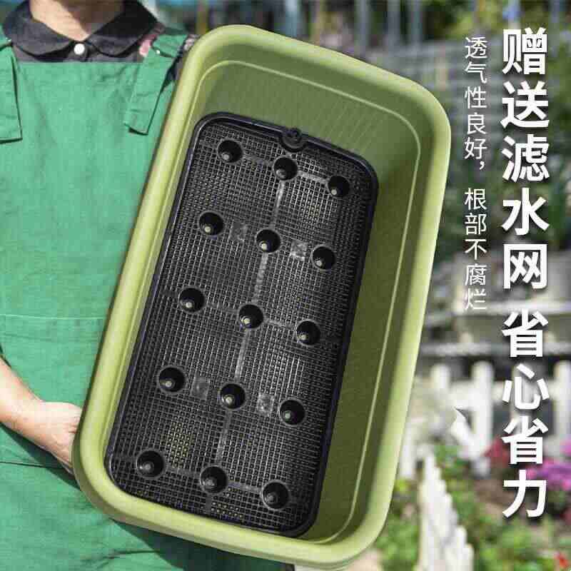花槽长方形花盆阳台家庭蔬菜水果草莓专用箱长条花盆大容量种菜盆