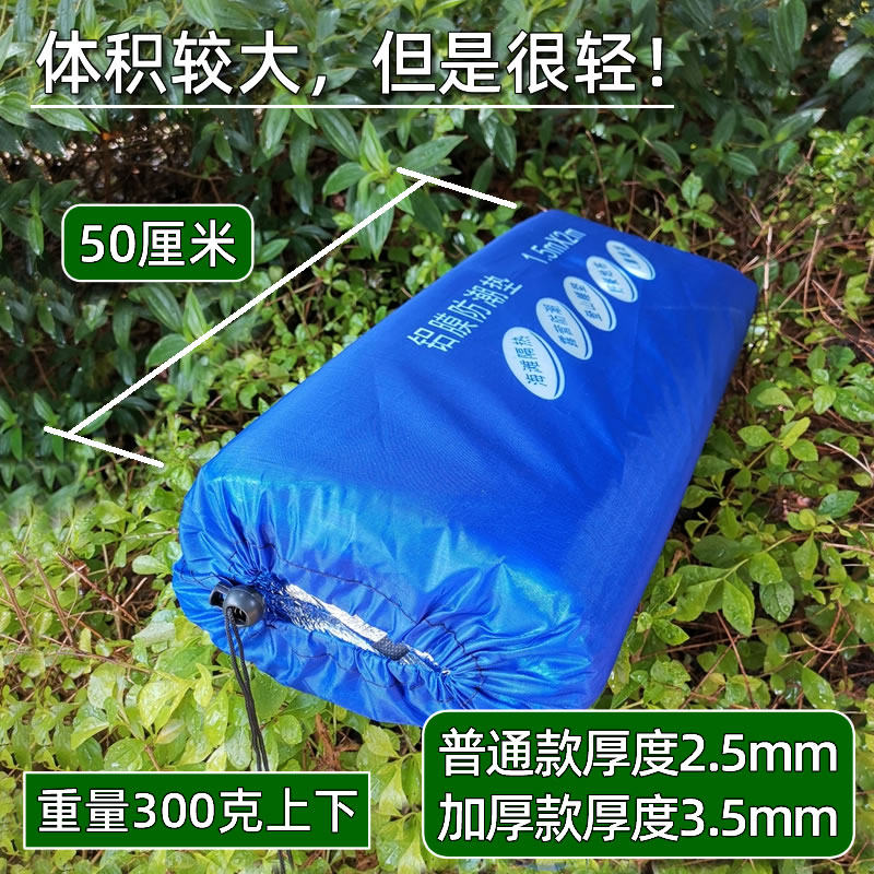 双面铝膜防潮垫 加大铝箔野餐垫沙滩垫草地垫 露营野营睡垫 免洗