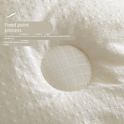 高端A类大豆纤维冬季厚被子双人卧室春秋被褥被芯150x200x230cm