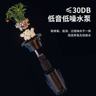 过滤制氧一体机桌面生态家用乌龟饲养缸 阔庭鱼缸小型客厅2024新款