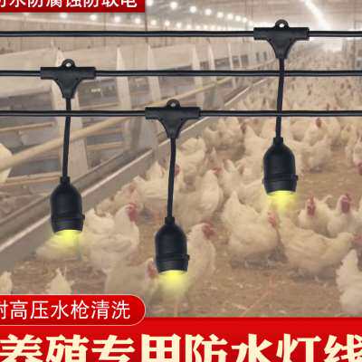 鸡鸭舍大棚农场养殖专用照明灯一体防水养殖照明灯串线养殖灯线