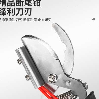 小猪断尾器仔猪不锈钢断尾钳剪牙钳子猪仔剪牙断尾钳猪场专用设备