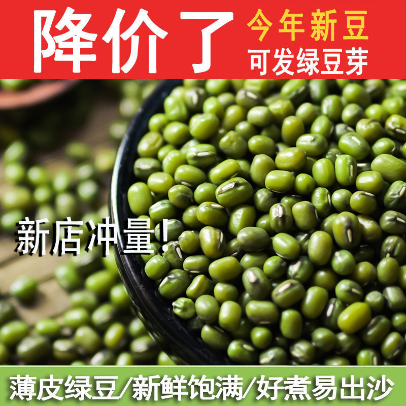 新绿豆 东北农家绿豆绿豆粥解暑绿豆汤笨绿豆发豆芽绿豆糕