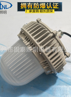 固态防爆多方位泛光工作灯ZL8924-L100 60W 70W LED防眩防爆灯