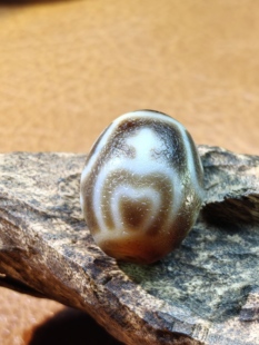 莲花宝瓶达洛天珠大风化老气皮壳藏传九眼石页岩玉髓玛瑙真品大气