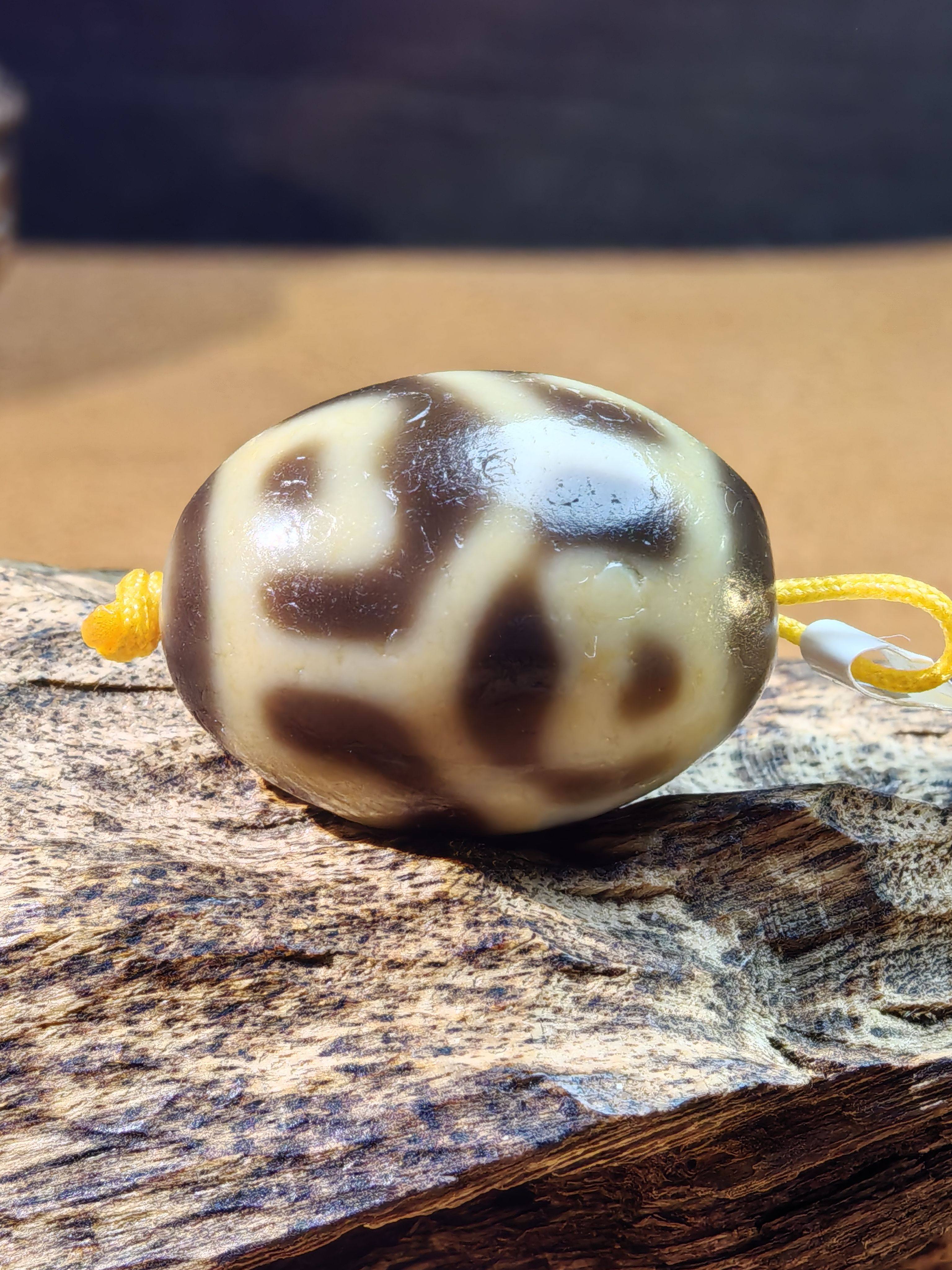 金沁细腻龟甲莲花达洛天珠藏传至纯九眼石页岩玉髓玛瑙真品