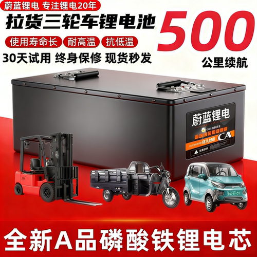 全新国轩电芯48V60V72V 锂电池三轮车四轮车老年代步车大容量专用