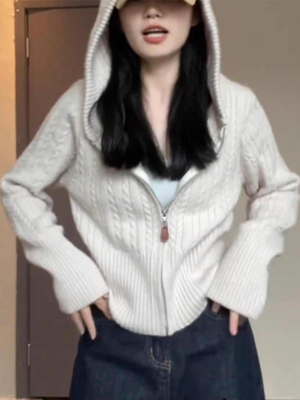 韩国小香风连帽卫衣针织开衫女秋季软糯麻花打底上衣短款毛衣外套