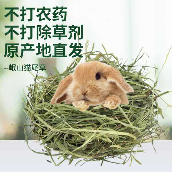 提摩西半烘干优质兔草岷县归乡提兔子龙猫荷兰猪饲料北提