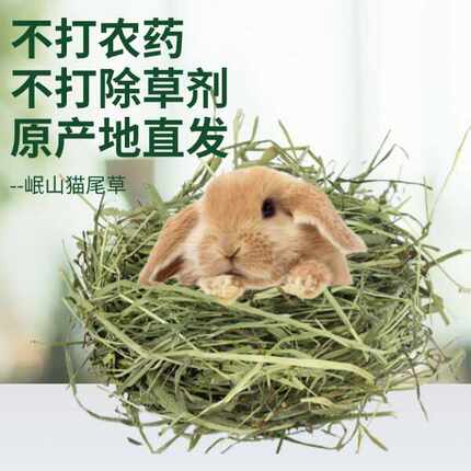提摩西半烘干优质兔草岷县归乡提兔子龙猫荷兰猪饲料北提