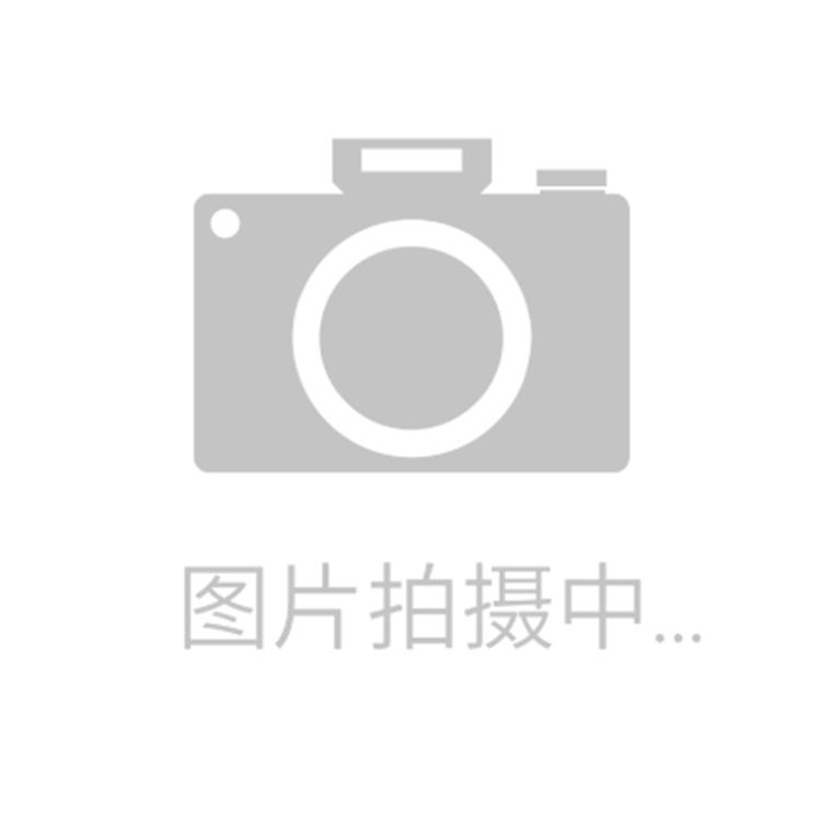 兰宝对射光电开关 PR18S-BC40DNO PR18-TM10DNR+PR18-TM10DPR