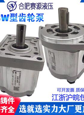 合肥赛源齿轮泵CBW-F306 310 314 316 304 E320-CFP ALP CLP ALH