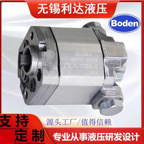 Boden博顿双向齿轮泵BKP0.5B2R0.75/R0.65/R1.5/R1.75G0L0-VQ1泵