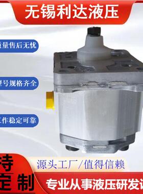 齿轮泵SNP2NN/ 025/022/017/019/8.0RN01AAC1B5萨澳SAUER丹佛斯泵