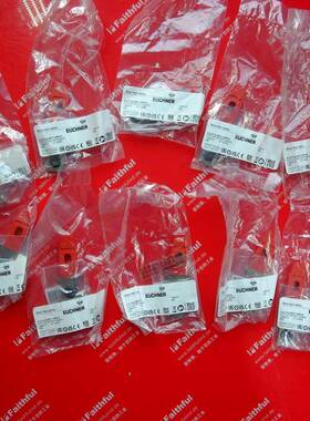 Euchner 126015 安士能全新安全开关 A-C-H-G-SST-126015