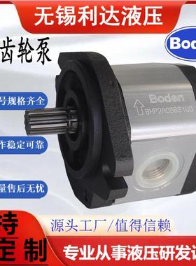BHP2A0D20C1L1/D1O/D14/D18/D16/D22/D25/D28/D30C1L1齿轮泵Boden