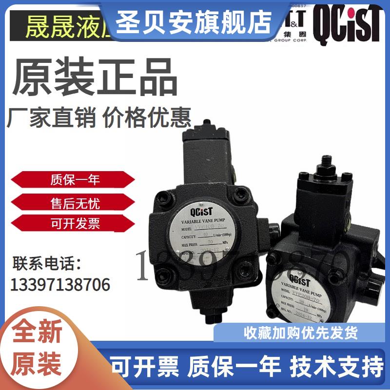 QCIST秦川奇斯特液压VVP20
