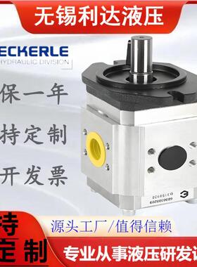 德国艾可勒ECKERLE齿轮泵EIPC5-080RA EIPC5-064/100RA/RB/RB11泵