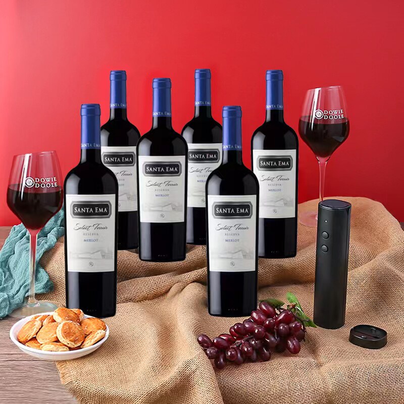 圣艾玛珍藏赤霞珠梅洛750ml原瓶进口干红静态葡萄酒 智利6支装