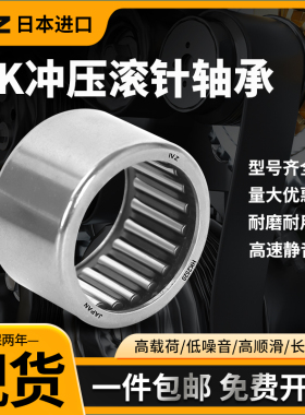 日本进口IVZ滚针轴承TLA HK 2538 253320 2816 2818 2820 Z