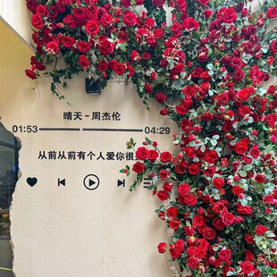 饰假花管道挂墙花墙花藤 仿真玫瑰藤条婚礼绿叶婚庆拱门栅栏装