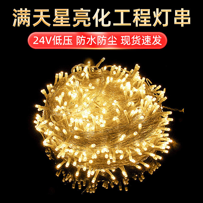 24v低压满天星led灯串庭院树木装饰闪灯户外工程亮化防水彩灯