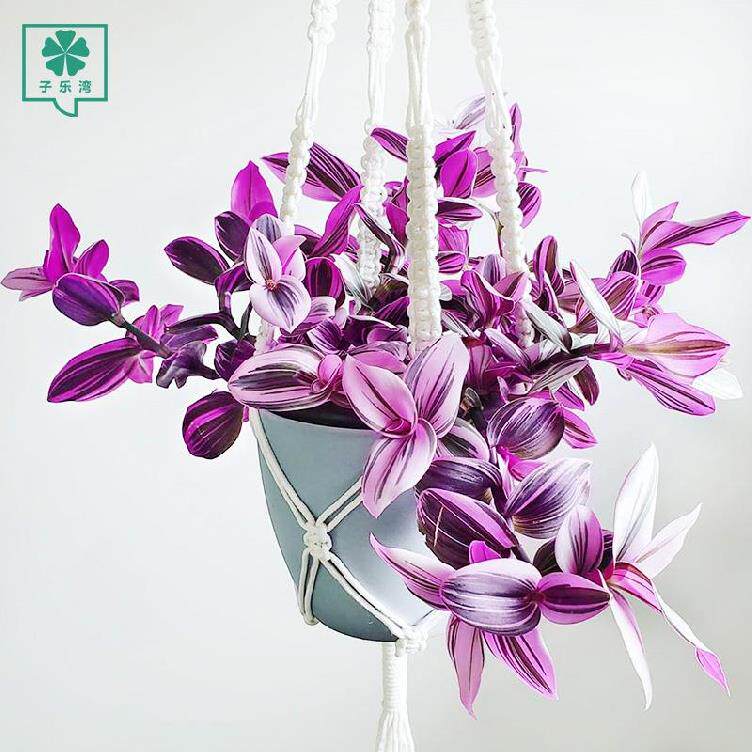 趣味陶瓷花盆价格 趣味陶瓷花盆图片 星期三