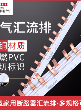 德力西电气汇流排空气开关接线排端子2P3P4P63ADPN漏电断路器紫铜