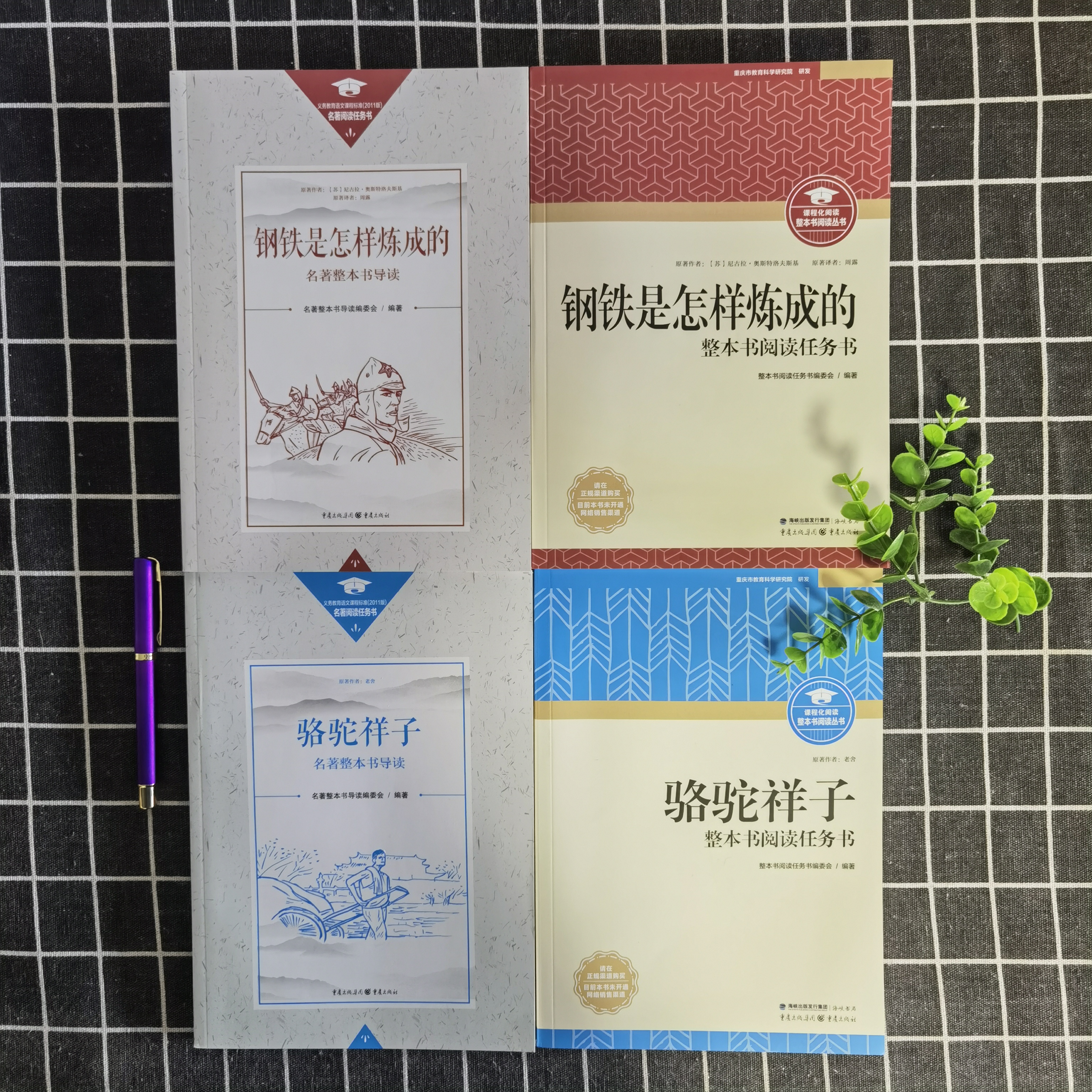 钢铁经典常谈骆驼祥子昆虫记重庆