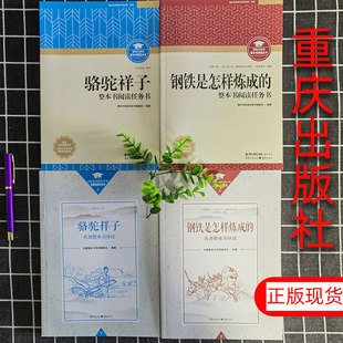 2025钢铁是怎样炼成的骆驼祥子海底两万里重庆出版社初中名著考点手册社科院研发初中生正版原著七年级下册必读完整版包邮教师用书