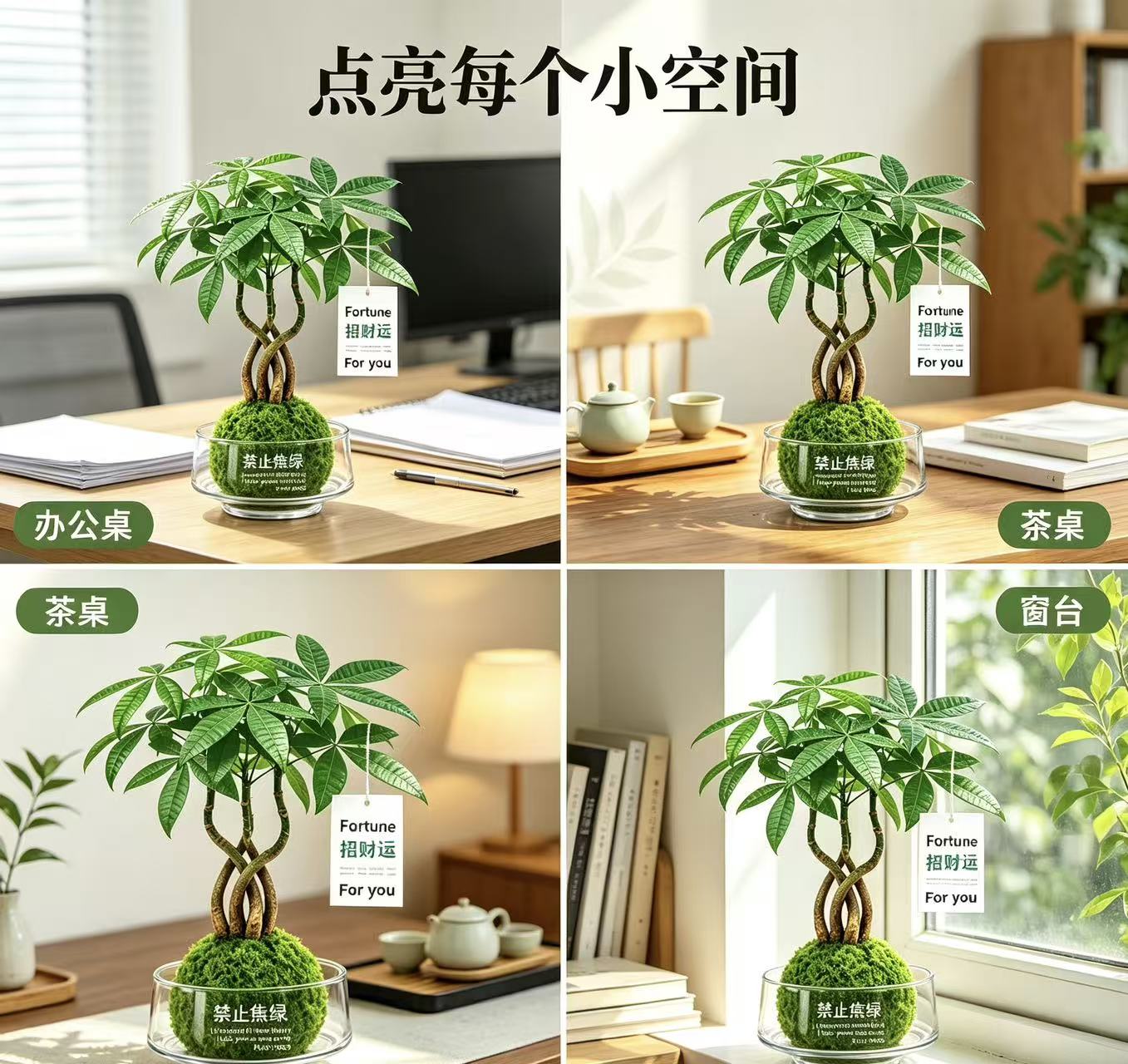发财树苔藓球盆栽室内植物办公室懒人好养活绿植净化空气花卉盆景