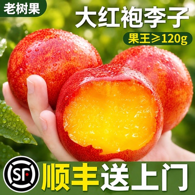 顺丰包邮东北大红袍李子脱骨黄心脆甜干碗大李子礼盒孕妇特大李子