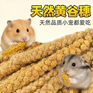 仓鼠黄谷穗零食天然磨牙棒金丝熊专用造景谷穗营养粮食小宠用品